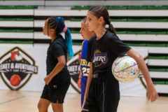 Arles-BC-66-S3-2025-11-Copier