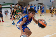 Arles-BC-66-S3-2025-142-Copier