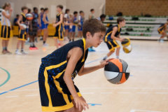 Arles-BC-66-S3-2025-143-Copier