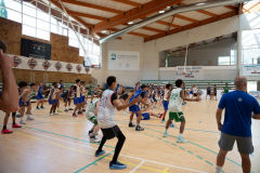 Arles-BC-66-S3-2025-204-Copier