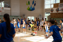 Arles-BC-66-S3-2025-205-Copier