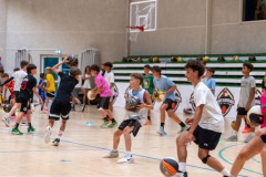 Arles-BC-66-S3-2025-21-Copier