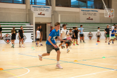 Arles-BC-66-S3-2025-23-Copier