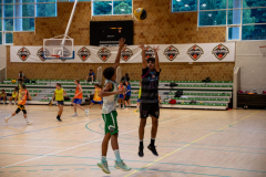 Arles-BC-66-S3-2025-230-Copier