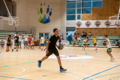 Arles-BC-66-S3-2025-24-Copier