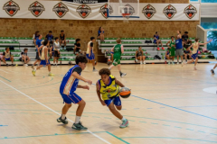 Arles-BC-66-S3-2025-248-Copier