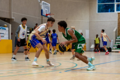 Arles-BC-66-S3-2025-256-Copier