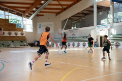 Arles-BC-66-S3-2025-284-Copier