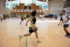 Arles-BC-66-S3-2025-292-Copier