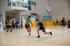 Arles-BC-66-S3-2025-293-Copier