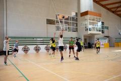 Arles-BC-66-S3-2025-294-Copier