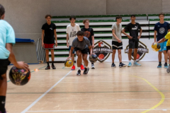 Arles-BC-66-S3-2025-30-Copier