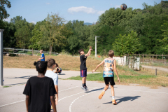 Arles-BC-66-S3-2025-305-Copier