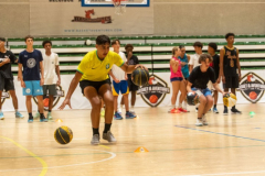 Arles-BC-66-S3-2025-31-Copier