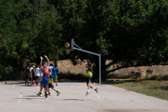 Arles-BC-66-S3-2025-312-Copier