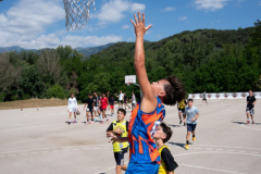 Arles-BC-66-S3-2025-313-Copier