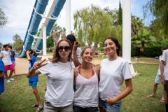 Arles-BC-66-S3-2025-343-Copier