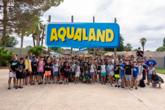 Arles-BC-66-S3-2025-355-Copier