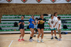 Arles-BC-66-S3-2025-362-Copier