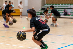 Arles-BC-66-S3-2025-39-Copier