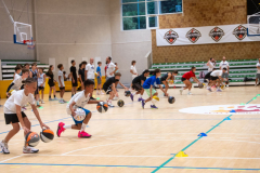 Arles-BC-66-S3-2025-43-Copier