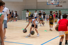 Arles-BC-66-S3-2025-46-Copier