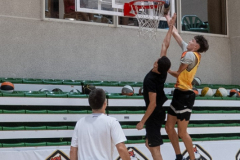 Arles-BC-66-S3-2025-50-Copier