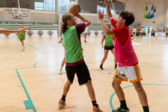 Arles-BC-66-S3-2025-78-Copier