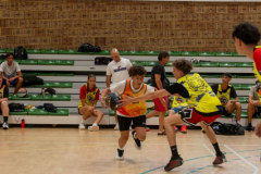 Arles-BC-66-S3-2025-80-Copier