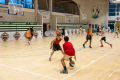 Arles-BC-66-S3-2025-91-Copier