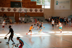 arles-BC-66-S1-2025-1