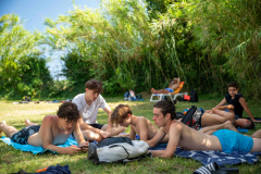 arles-BC-66-S1-2025-139