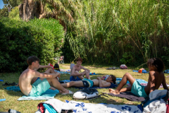 arles-BC-66-S1-2025-140