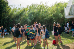 arles-BC-66-S1-2025-162