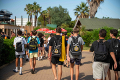 arles-BC-66-S1-2025-165