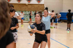 arles-BC-66-S1-2025-173