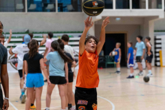 arles-BC-66-S1-2025-174