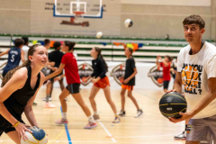 arles-BC-66-S1-2025-184