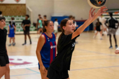 arles-BC-66-S1-2025-194