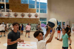 arles-BC-66-S1-2025-208