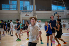 arles-BC-66-S1-2025-211