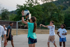 arles-BC-66-S1-2025-221