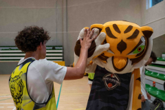 arles-BC-66-S1-2025-233