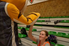 arles-BC-66-S1-2025-234