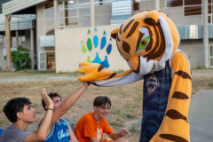 arles-BC-66-S1-2025-238