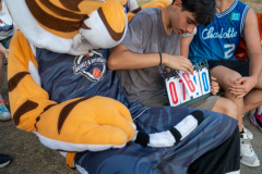 arles-BC-66-S1-2025-239