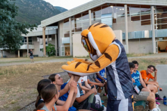 arles-BC-66-S1-2025-240