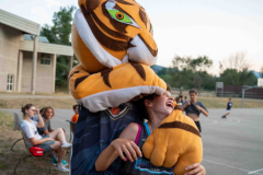 arles-BC-66-S1-2025-242