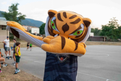 arles-BC-66-S1-2025-243