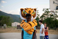 arles-BC-66-S1-2025-245